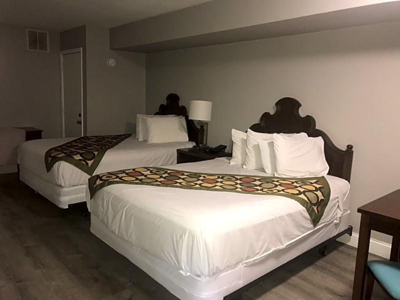 Alamar Virginia Beach